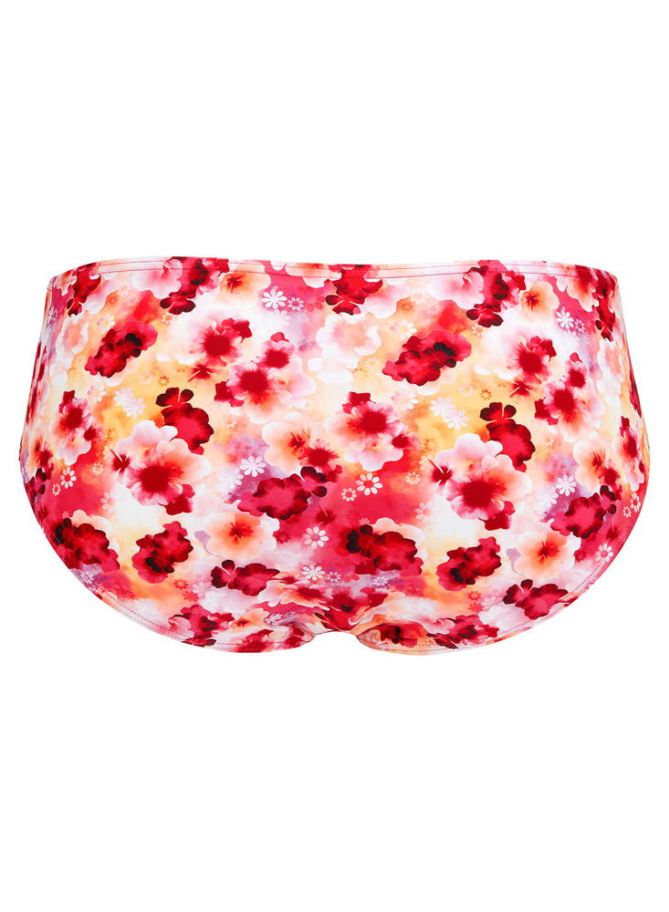 Barbados Hipster Bikini Briefs